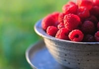 Healthy Reasons to Enjoy the Sweet Raspberries