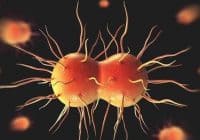 Super Gonorrhea Spreading Rapidly, Due To COVID-19